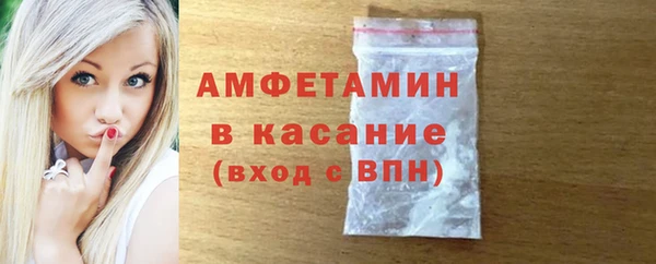 индика Краснотурьинск