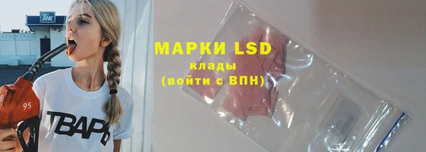 индика Краснотурьинск