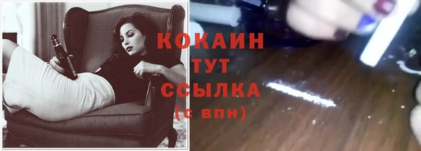 индика Краснотурьинск