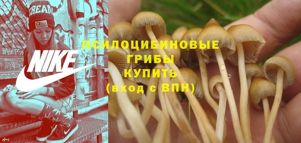 гидропоника Краснослободск