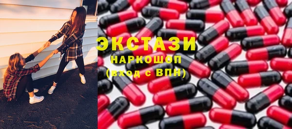 индика Краснотурьинск