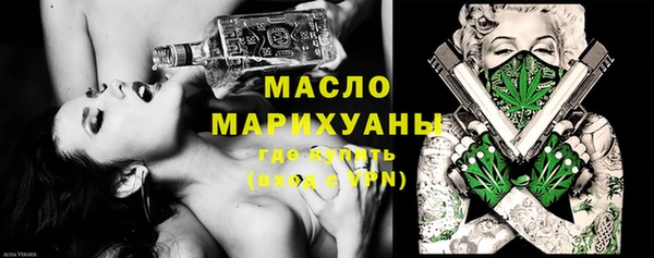 индика Краснотурьинск