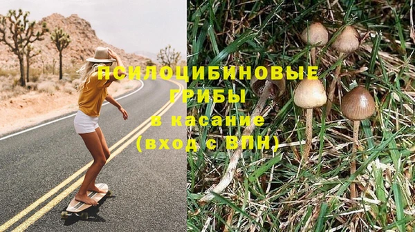 гидропоника Краснослободск
