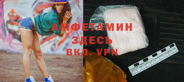 индика Краснотурьинск