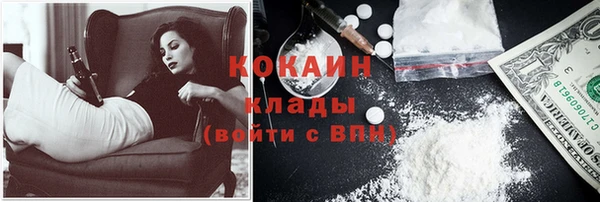 индика Краснотурьинск