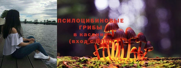 индика Краснотурьинск