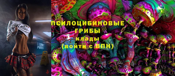 индика Краснотурьинск