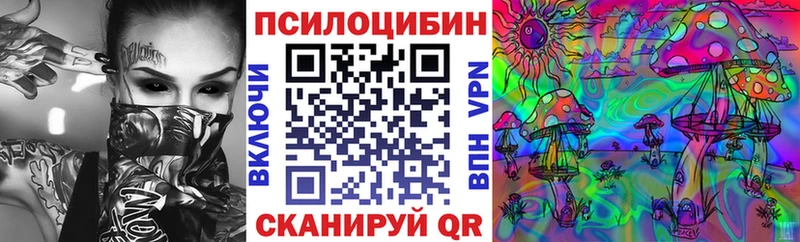 Купить где Ртищево Галлюциногенные грибы Magic Shrooms