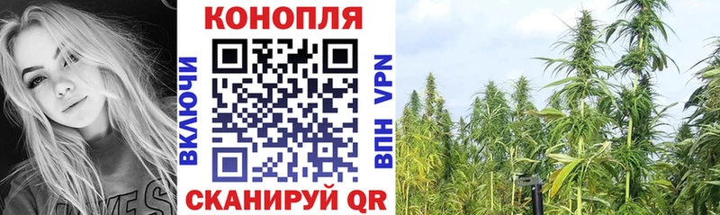 Купить где  Ртищево  Бошки марихуана индика 
